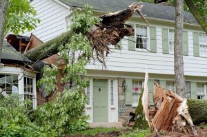 Home Storm