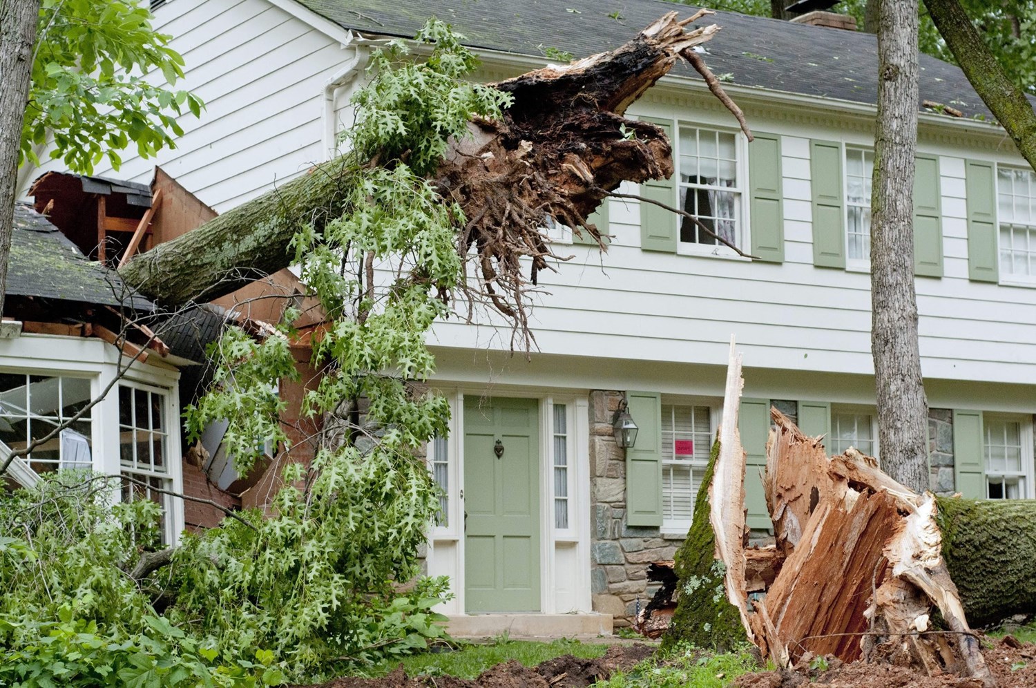 Home Storm