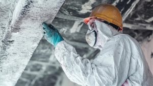 Mold Remediation