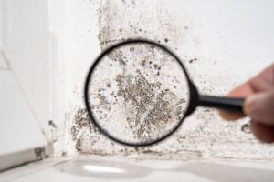 Mold Exposure