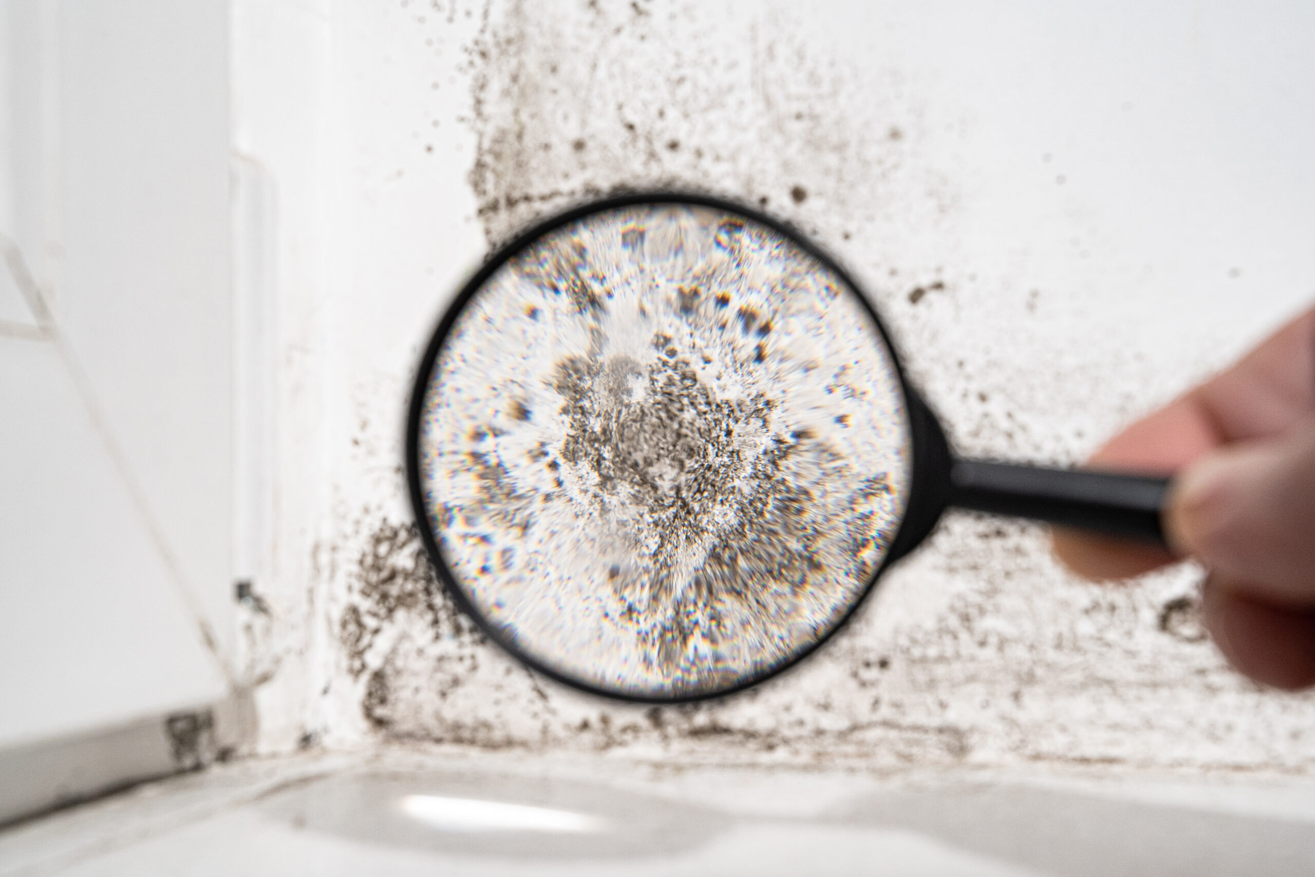 Mold Exposure