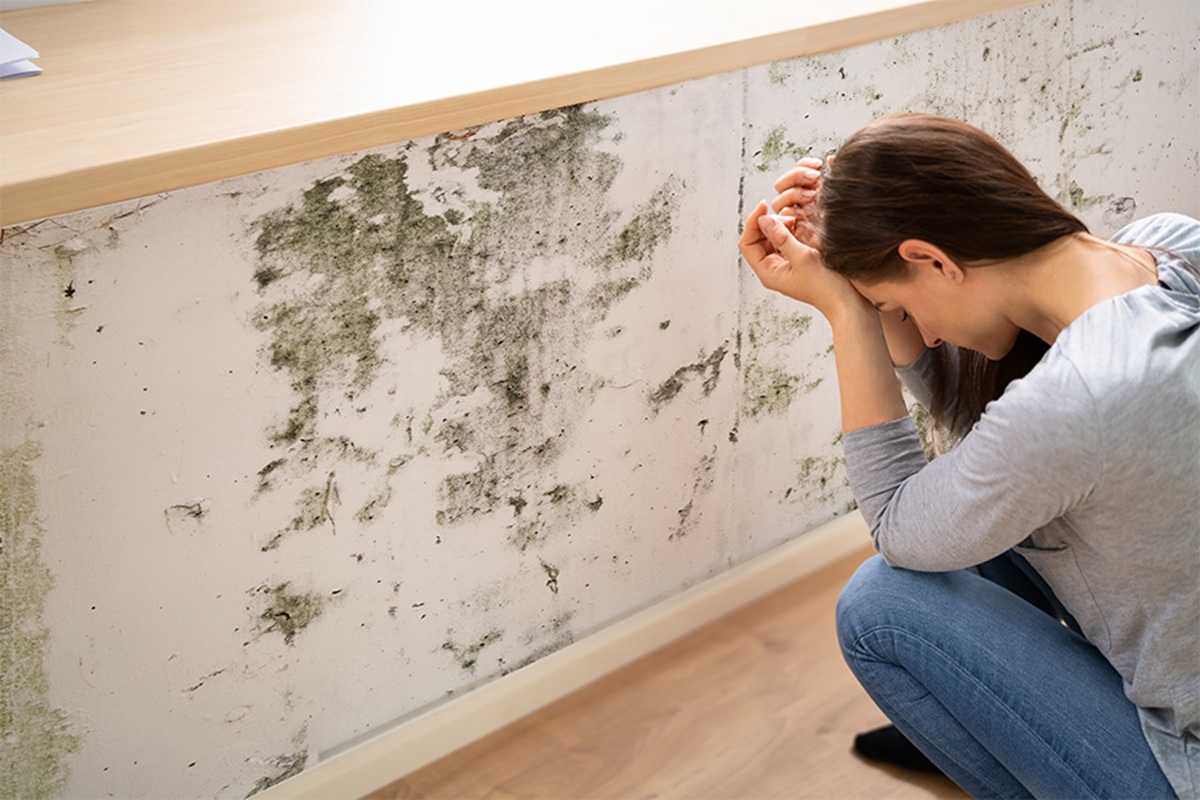 Mold Exposure in Homes